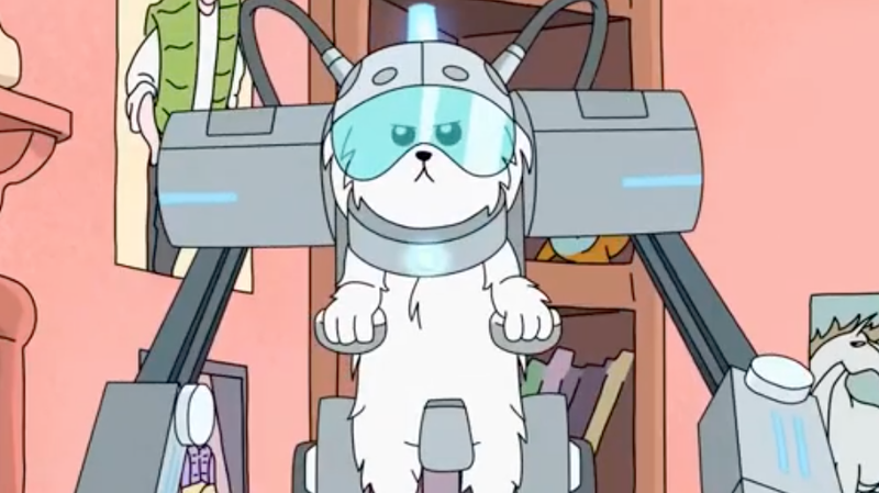 “Where are my testicles, Summer?”